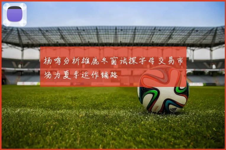 杨鸣分析雄鹿冬窗试探字母交易市场为夏季运作铺路