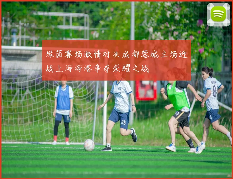 绿茵赛场激情对决成都蓉城主场迎战上海海港争夺荣耀之战